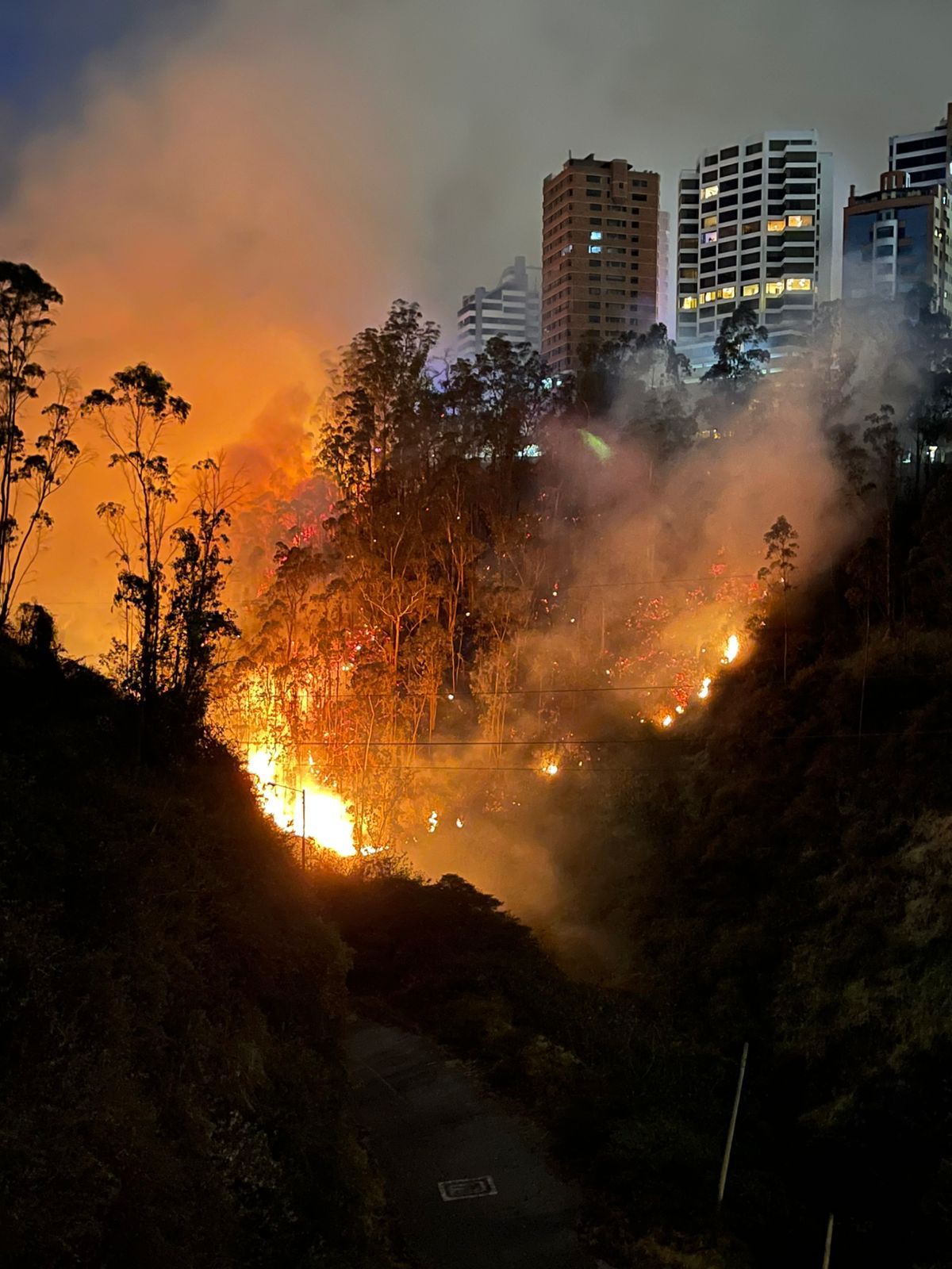 Solidarity Fund: Support for Firefighters and Affected Families in Quito